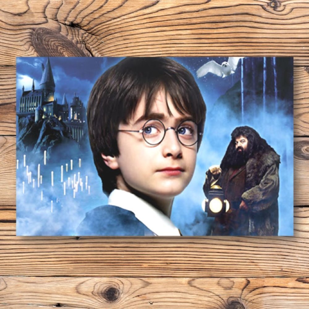 Harry Potter & Rubeus Hagrid Hogwarts School Refrigerator Locker Fridge Magnet‎